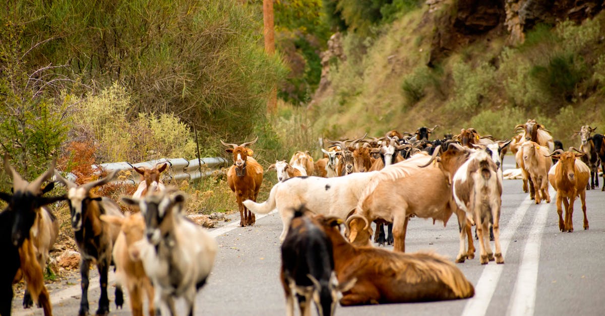 découvrez comment comprendre et gérer une relation avec un ex partenaire évitant. conseils pratiques pour surmonter les difficultés et avancer sereinement.