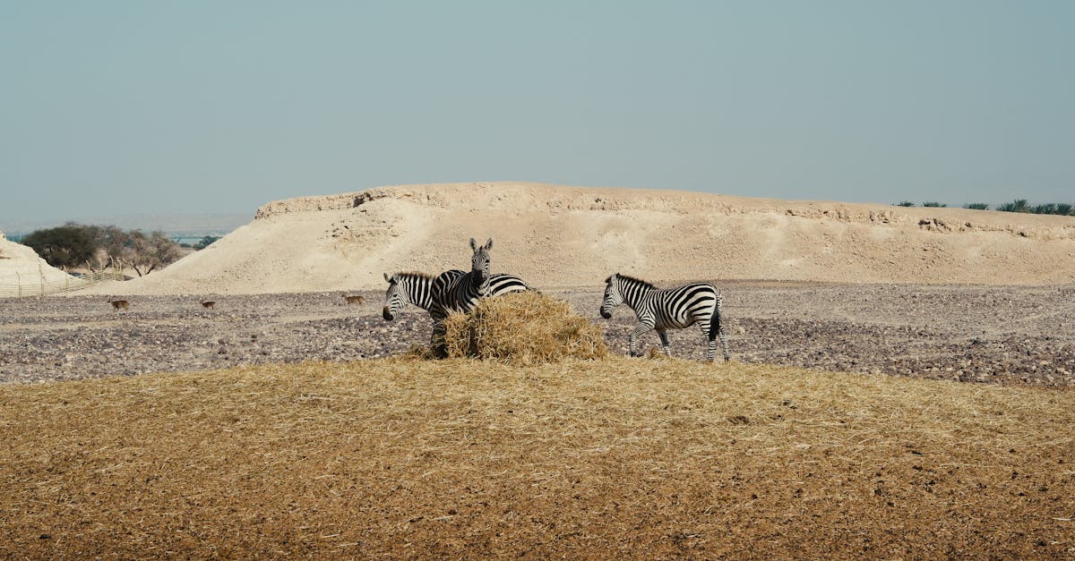 découvrez les comportements à éviter pour améliorer vos relations personnelles et professionnelles, et favoriser un environnement harmonieux.