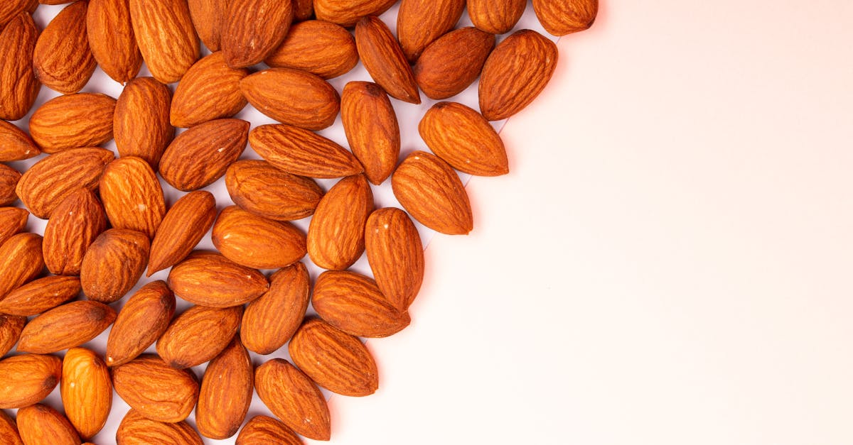 découvrez le concept de « ex-guilt » : comprendre et surmonter la culpabilité liée aux expériences passées pour avancer sereinement dans la vie.