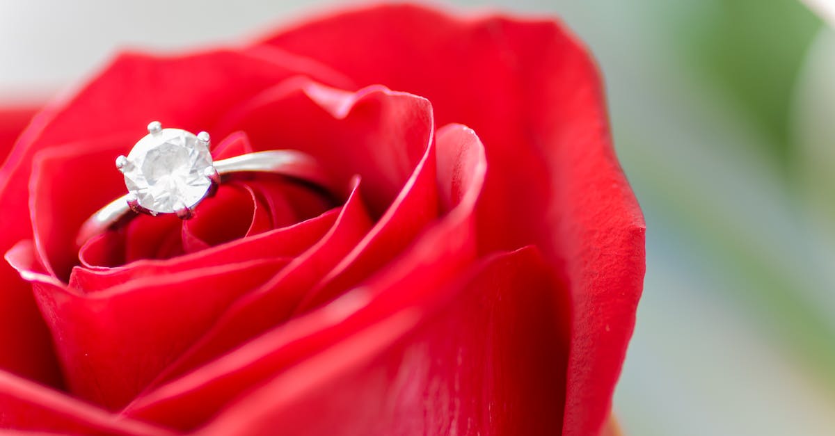 découvrez la puissance de l'amour, ce lien unique qui unit les cœurs et transforme nos vies avec passion et tendresse.