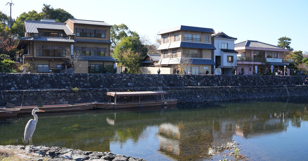 découvrez les qualités essentielles pour réussir et s'épanouir dans tous les domaines de la vie.
