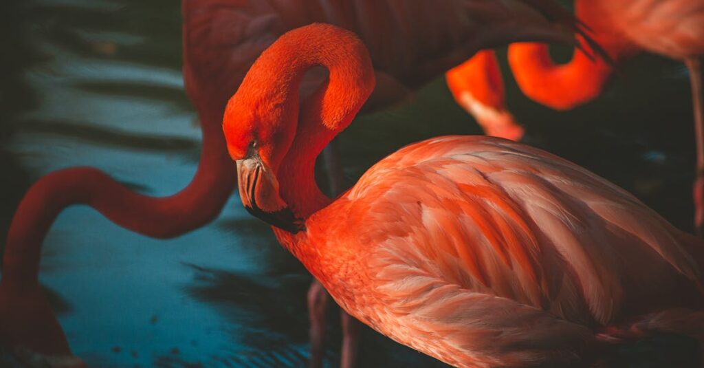 Comment séduire un homme : conseils et astuces efficaces pour lui plaire découvrez des conseils et astuces pour maîtriser l'art de la séduction, gagner en confiance et créer des connexions authentiques.