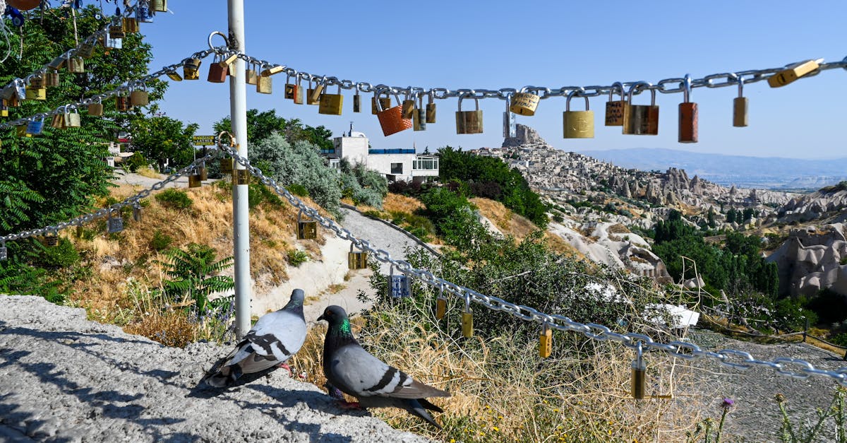 découvrez la profondeur et la complexité de l'amour non partagé à travers des récits poignants et des réflexions sincères sur le cœur brisé.