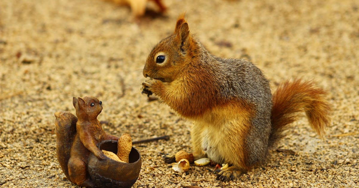 découvrez notre analyse approfondie du terme 'victim playing' et comment reconnaître cette stratégie dans les relations personnelles et professionnelles.