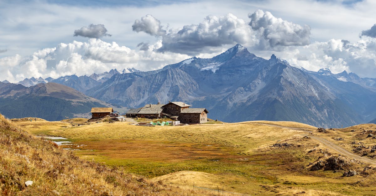 découvrez des conseils et astuces pour comprendre, gérer et surmonter la relation avec votre ex-petit ami.