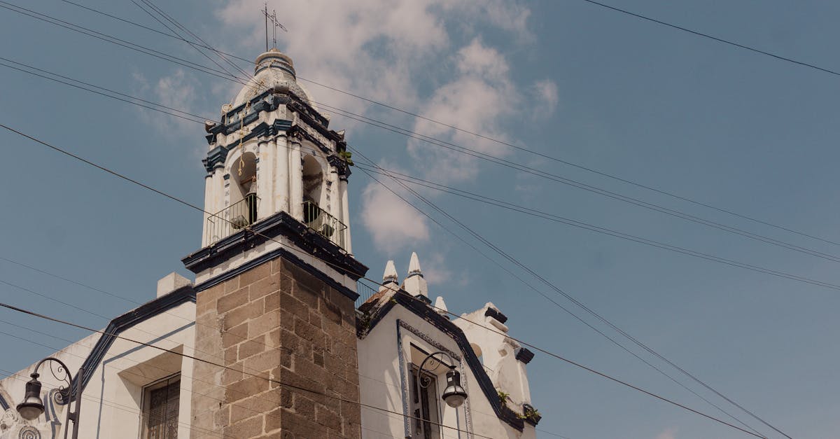 découvrez des conseils et astuces pour gérer votre ex-petit ami, comprendre ses comportements et avancer sereinement après une rupture.