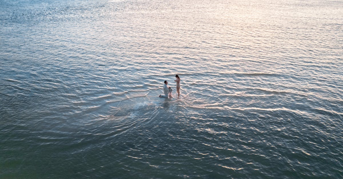 découvrez comment maîtriser votre destin amoureux grâce à des conseils et stratégies pour attirer et cultiver l'amour véritable.