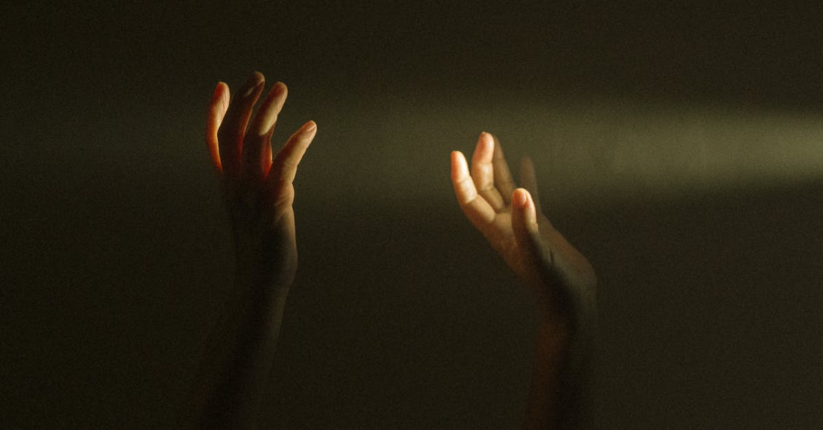 découvrez des solutions efficaces et rapides pour la recovery, afin de restaurer vos données, votre santé ou votre bien-être avec succès.