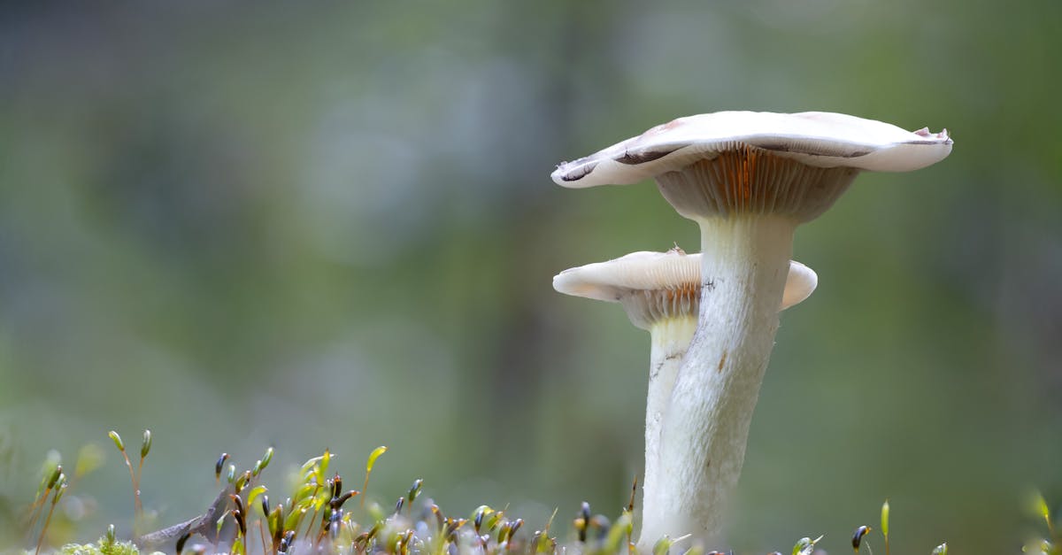 rekindle : ravivez vos passions et retrouvez l'inspiration pour un nouveau départ plein d'énergie et d'émotions.