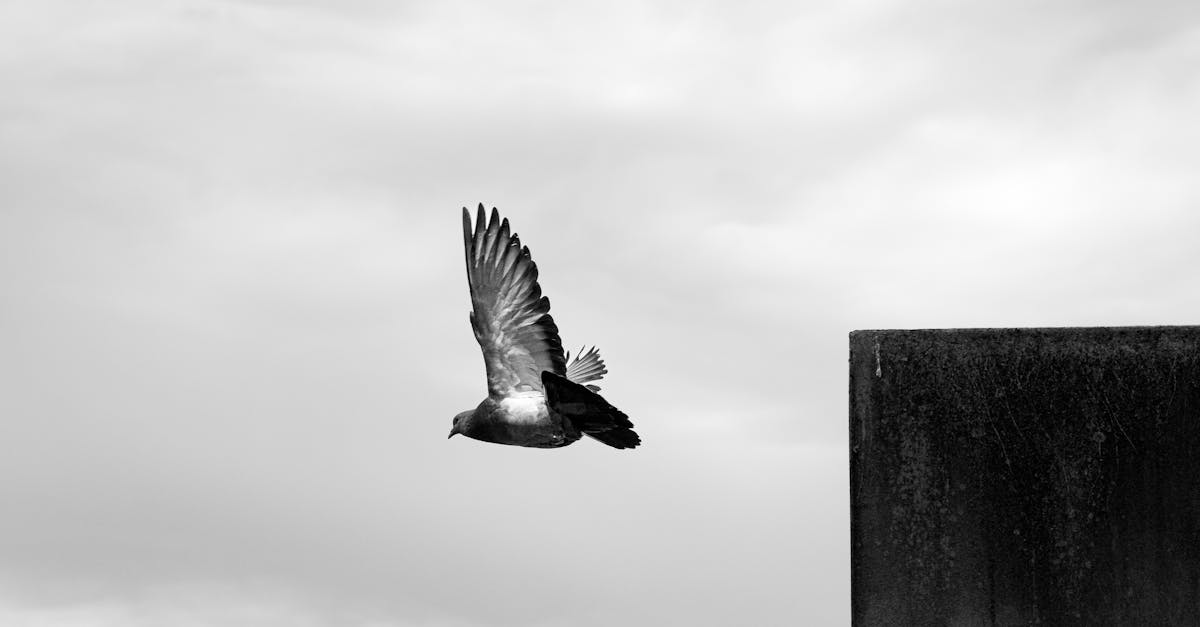 rekindle : ravivez la flamme, redonnez vie à vos passions et retrouvez l'énergie pour avancer avec confiance.