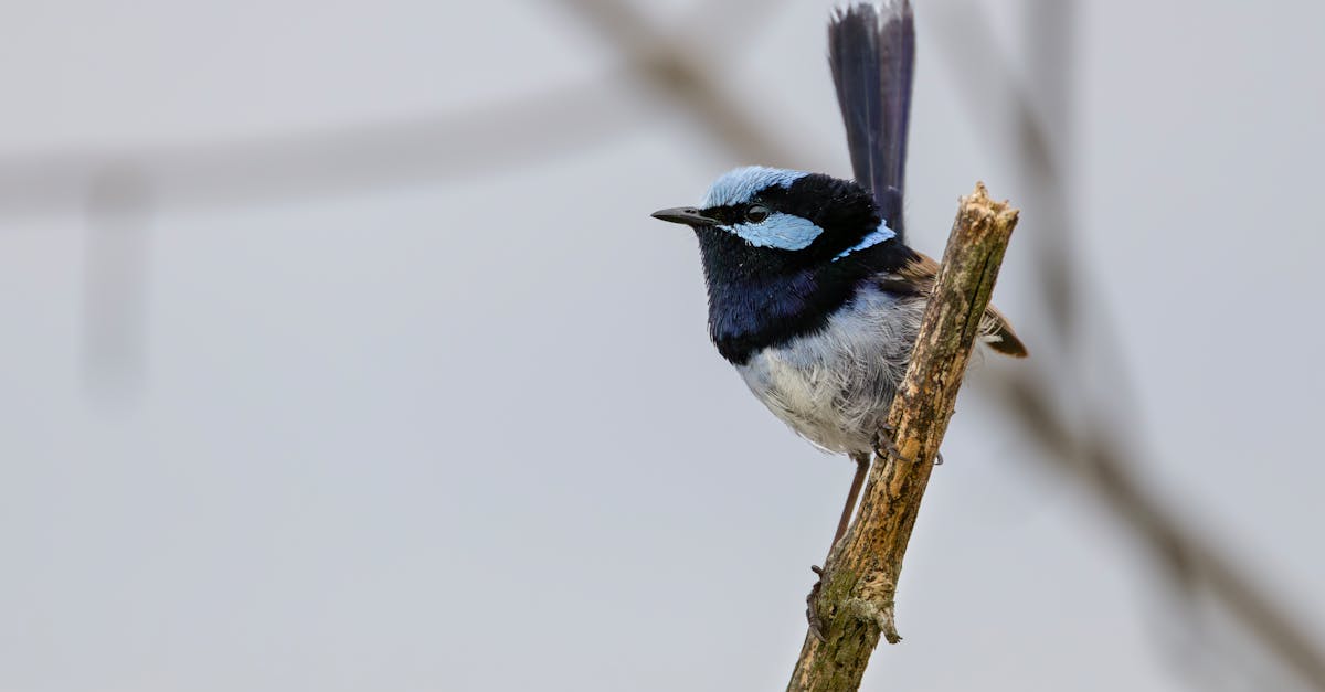 redonnez vie à vos passions et relations avec rekindle, la solution idéale pour raviver l'étincelle et renouer des liens précieux.
