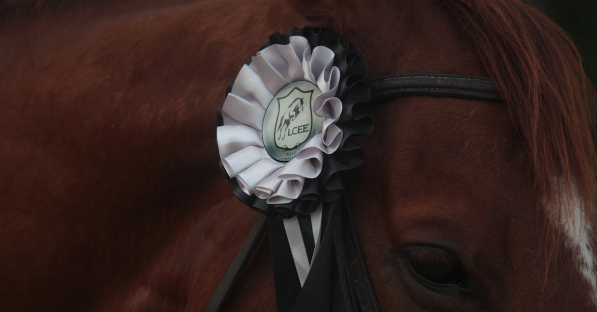 découvrez comment reconquérir vos clients et stimuler votre croissance grâce à des stratégies efficaces de win back.