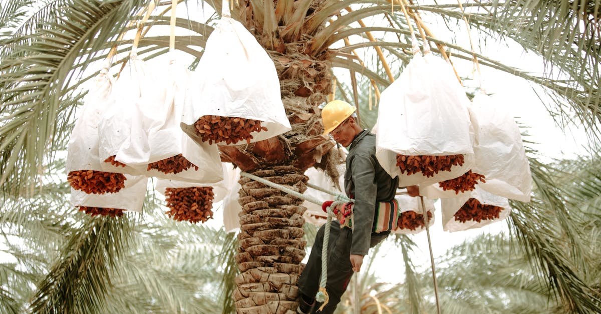 découvrez les avantages et les défis du dating au travail, avec des conseils pour gérer les relations professionnelles et personnelles en toute sérénité.