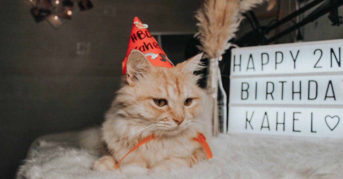 découvrez des idées inspirantes et originales de messages d'anniversaire pour souhaiter une fête mémorable à vos proches.