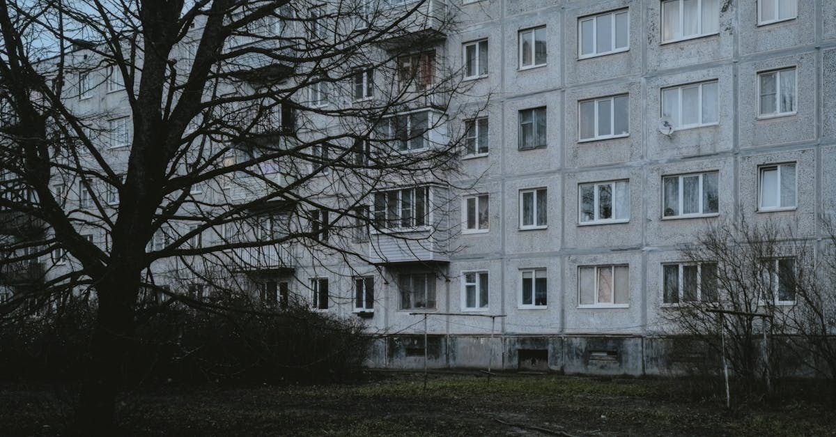 découvrez comment retrouver confiance et sérénité après une rupture grâce à notre guide complet sur l'ex recovery.