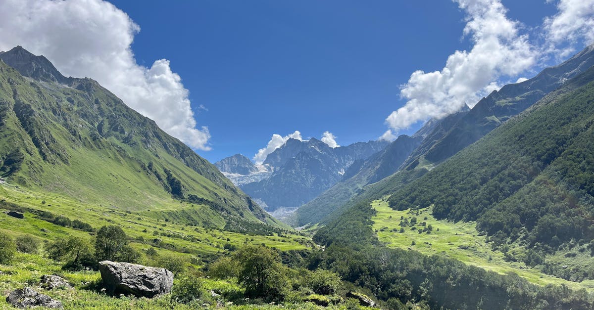 découvrez comment gérer votre relation passée avec notre guide complet sur les ex-relationships, incluant des conseils pour tourner la page et reconstruire votre vie.