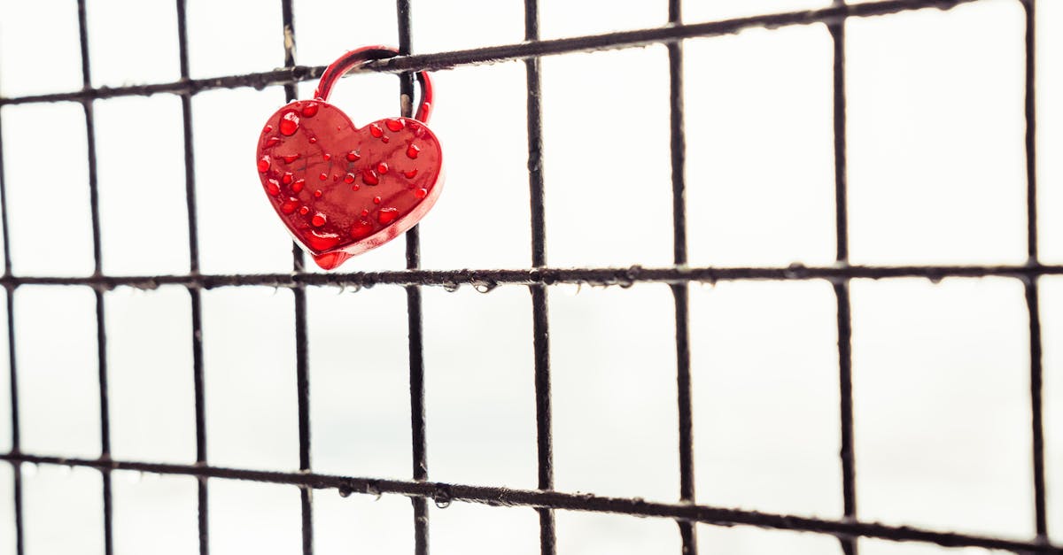 loveproof : découvrez une plateforme innovante dédiée à renforcer et protéger vos relations amoureuses grâce à des conseils personnalisés et des outils efficaces.