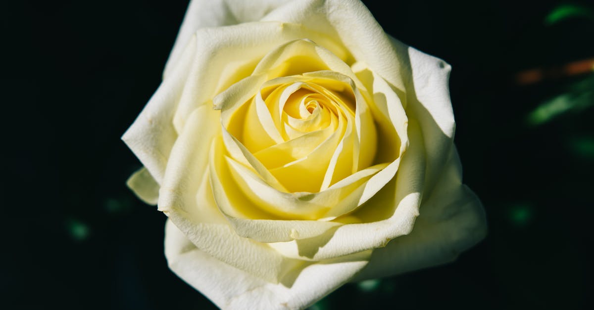 découvrez un poème captivant qui exprime des émotions profondes et évoque la beauté des mots.