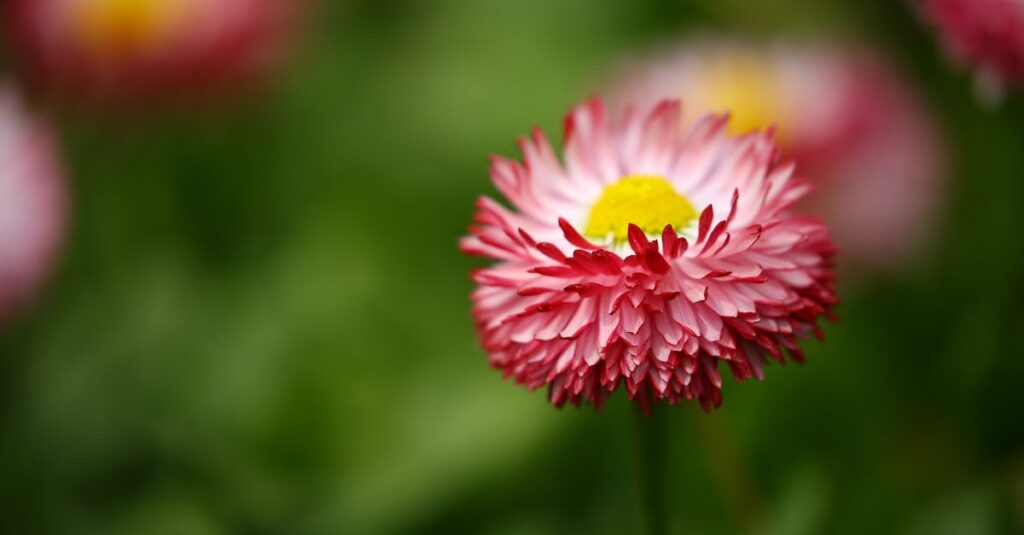 Comment trouver l’amour véritable : conseils et étapes pour réussir sa quête découvrez la véritable signification du vrai amour, une connexion profonde et sincère qui transcende le temps et les obstacles.