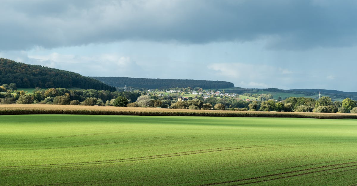 découvrez des méthodes efficaces pour récupérer rapidement vos ex et raviver votre relation grâce à nos conseils pratiques et éprouvés.