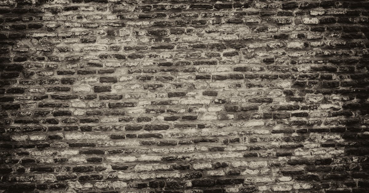 winexback : découvrez des stratégies efficaces pour reconquérir votre ex et raviver la flamme de votre relation.