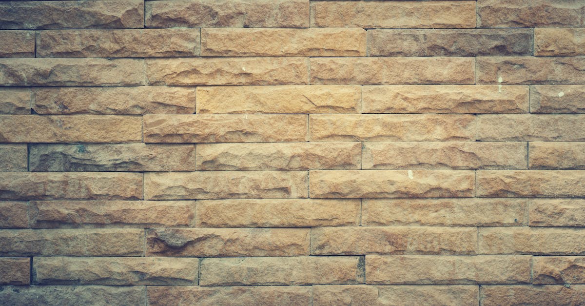 winexback : découvrez des techniques efficaces et des conseils pour reconquérir votre ex et raviver votre relation amoureuse.